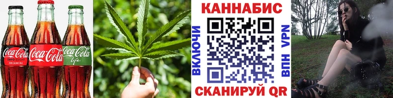 Купить закладки  Елизово  Печенье с ТГК марихуана 