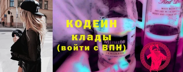прущие грибы Касимов