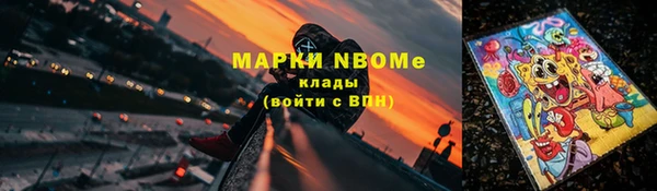 прущие грибы Касимов