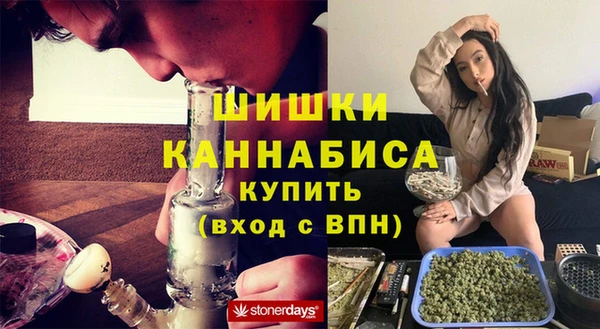 прущие грибы Касимов