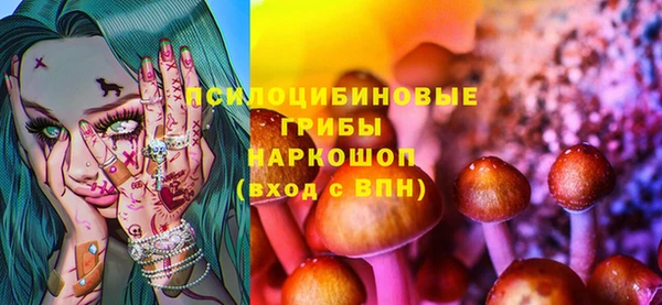 прущие грибы Касимов