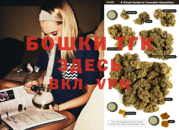 прущие грибы Касимов