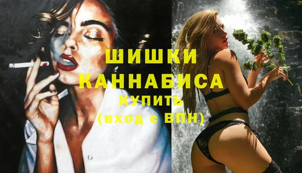 прущие грибы Касимов