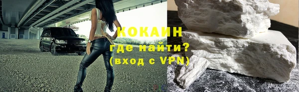 прущие грибы Касимов